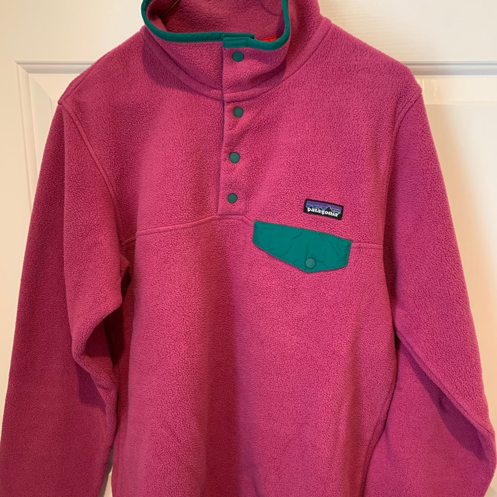 Patagonia Lightweight Synchilla Snap-T Pullover